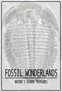 Fossil Wonderlands: Nature's Hidden Treasures