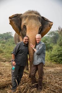 Paul O'Grady: For the Love of Animals - India
