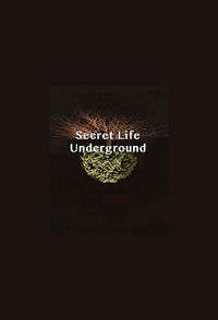 Secret Life Underground