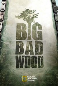 Big Bad Wood