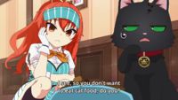 I Magically Became a Cat!?