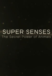 Super Senses: The Secret Power of Animals