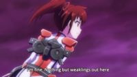 The Meaning of the Iris