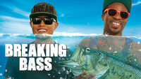 Breaking Bass