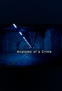 Anatomy of a Crime