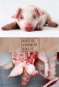 Kill It, Cook It, Eat It