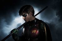Dick Grayson / Robin / Nightwing