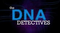 DNA Detectives