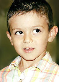 Лев Пичахчи