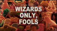 Wizards Only, Fools