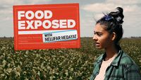 Food Exposed with Nelufar Hedayat