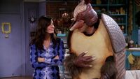 The One With the Holiday Armadillo