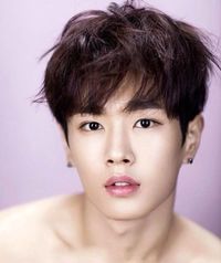 Li Wen Han