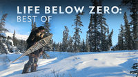 Life Below Zero: Best Of