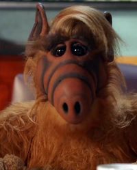 Alf