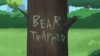 Bear Trapped