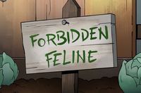 Forbidden Feline