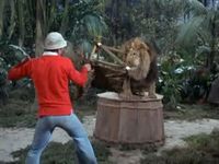 Feed the Kitty