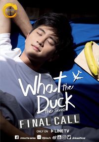 What the Duck The Series