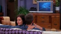 The One With the Sharks