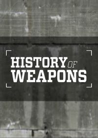 Von der Keule zur Rakete - Die Geschichte der Gewalt