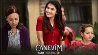 Canevim