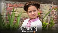 Canevim