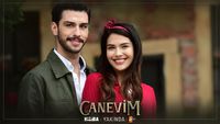 Canevim