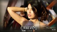 Canevim