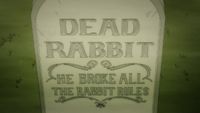 The Rabbit Who Broke All the Rules