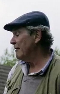 Joe