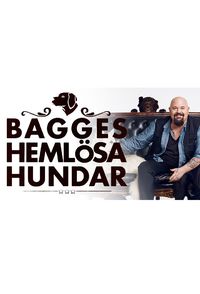 Bagges hemlösa hundar