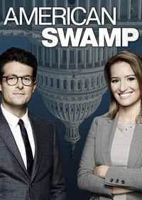 American Swamp
