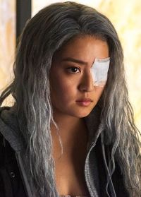 Rose Wilson / Ravager