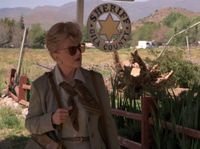 The Secret of Gila Junction