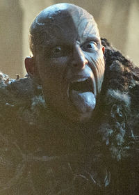 Thenn Warg