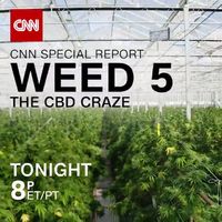 Weed 5: The CBD Craze