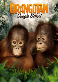 Orangutan Jungle School