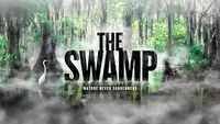 The Swamp