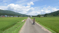 Niigata - The Deep Green of Summer