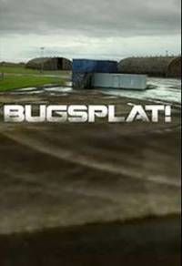 Bugsplat!