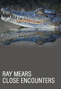 Ray Mears: Close Encounters