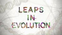 Leaps in Evolution