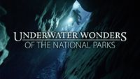 Underwater Wonders of the National Parks