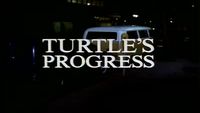 Turtle's Progress