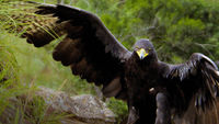 Africa's Hidden Kingdoms