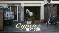 The Gypsies Next Door