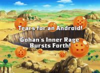 The Tears that Disappeared into the Sky! The Angry Super Awakening of Gohan