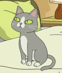 Talking Cat