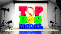 Top Dog Model